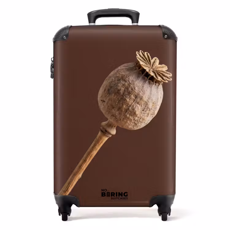 Koffer - Papaverbol - Droogbloem - Bruin - Minimalistisch — 1