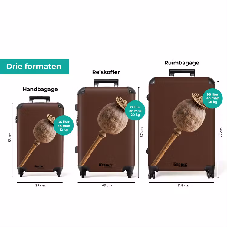 Koffer - Papaverbol - Droogbloem - Bruin - Minimalistisch — 8