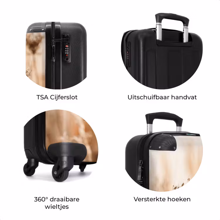 Koffer - Schermbloem - Droogbloem - Winter - Beige - Minimalistisch — 7