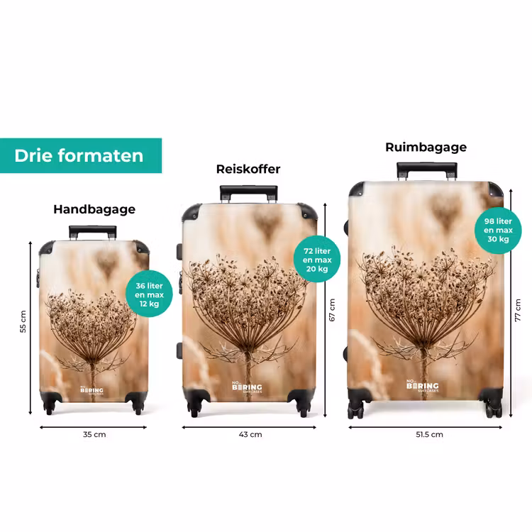 Koffer - Schermbloem - Droogbloem - Winter - Beige - Minimalistisch — 8