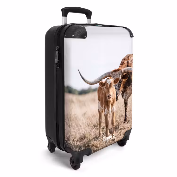 Koffer - Texas Longhorn - Kalf - Weide - Dieren — 2