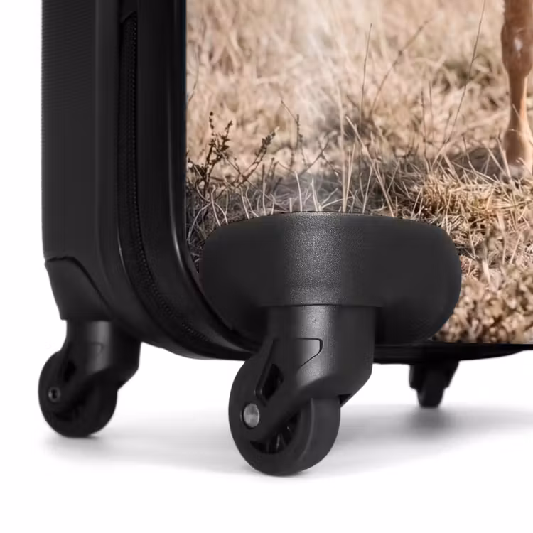 Koffer - Texas Longhorn - Kalf - Weide - Dieren — 6