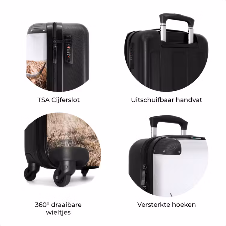 Koffer - Texas Longhorn - Kalf - Weide - Dieren — 7