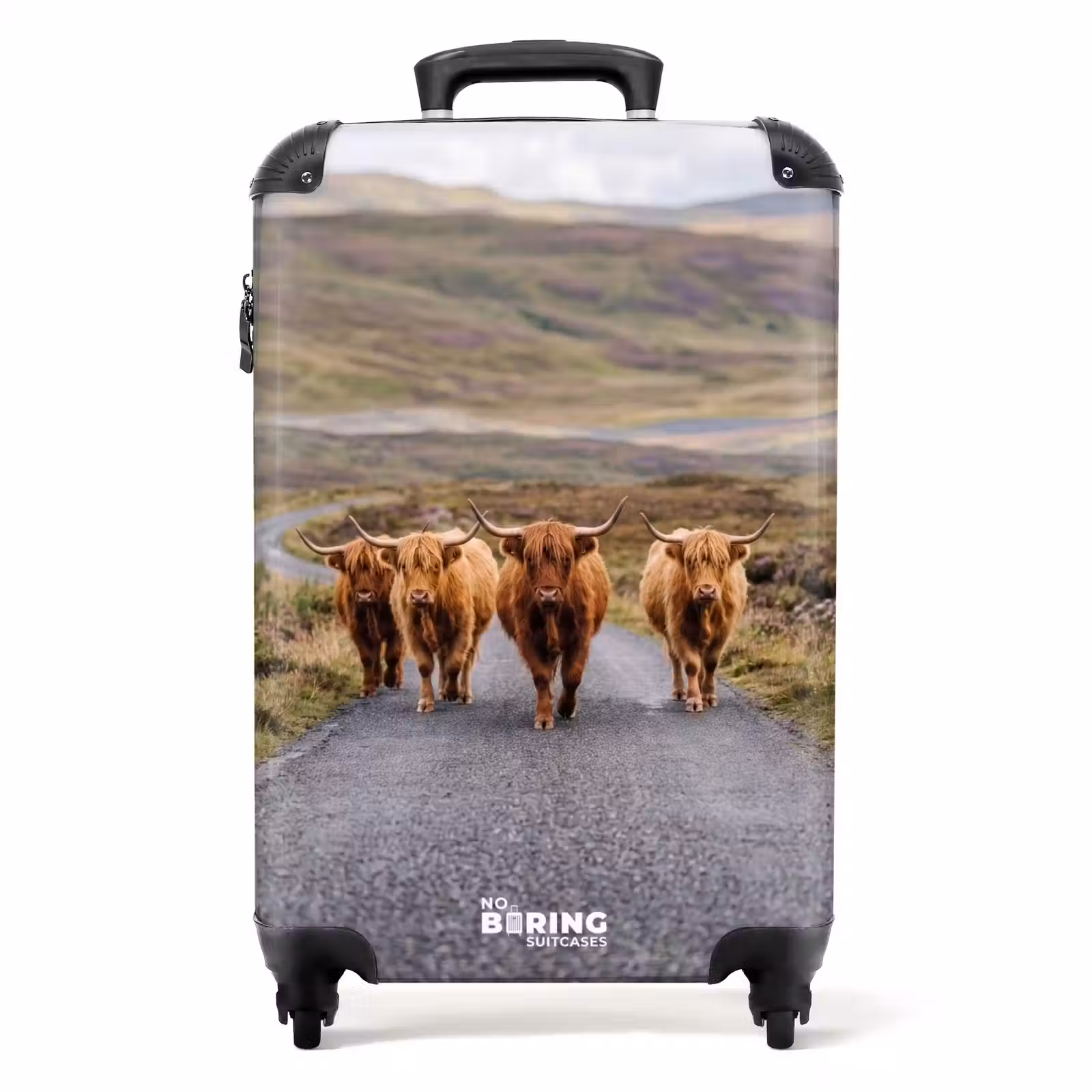 Koffer - Schotse Hooglanders - Weg - Landschap - Kudde — 1