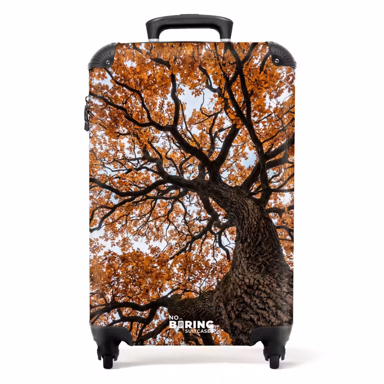 Koffer - Boom - Bladerdak - Herfst - Oranje - Sfeervol — 1