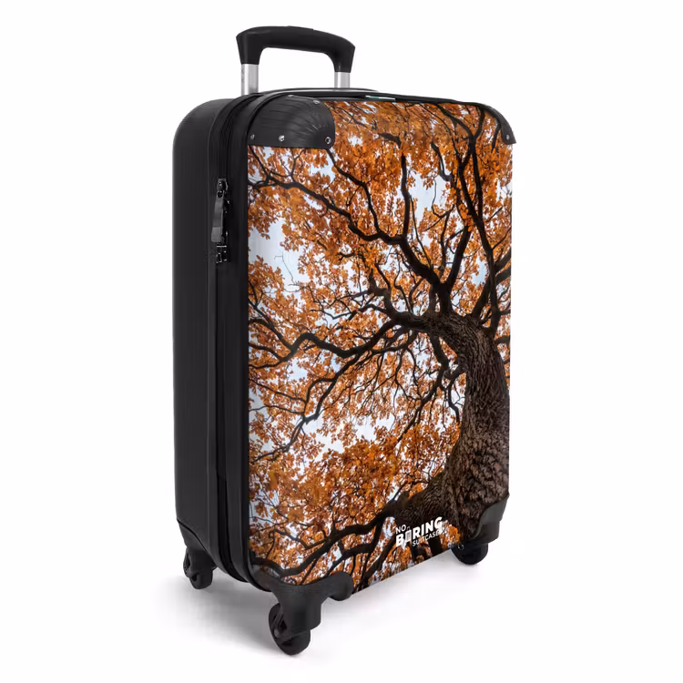 Koffer - Boom - Bladerdak - Herfst - Oranje - Sfeervol — 2