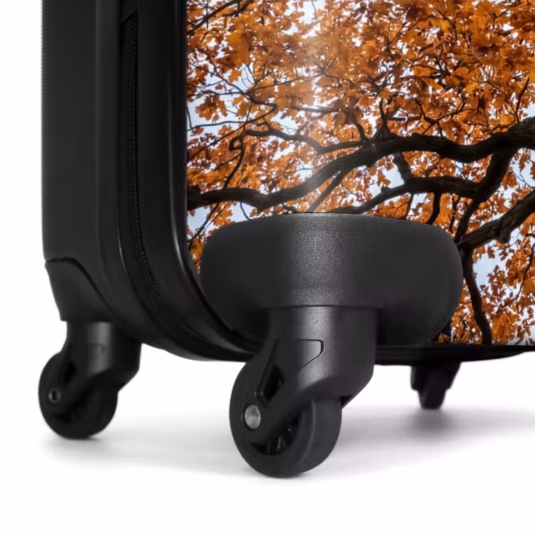 Koffer - Boom - Bladerdak - Herfst - Oranje - Sfeervol — 6