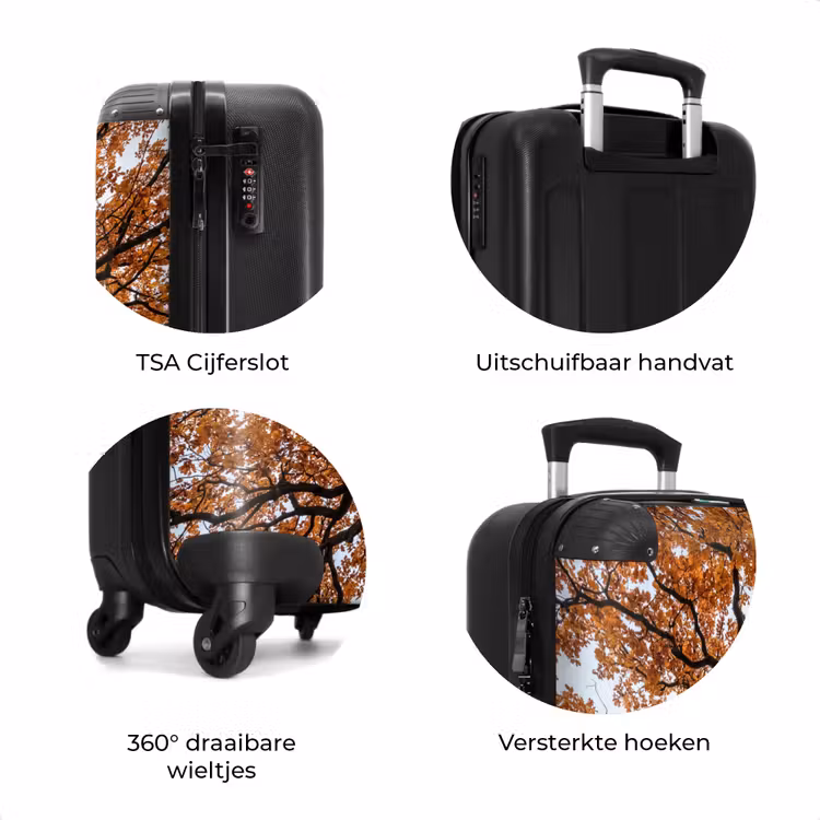 Koffer - Boom - Bladerdak - Herfst - Oranje - Sfeervol — 7