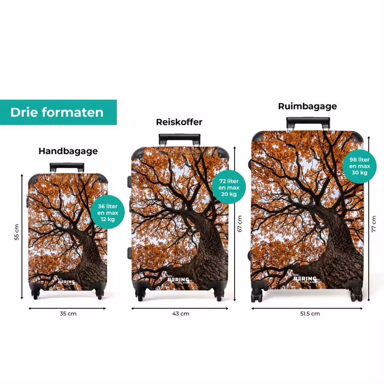 Koffer - Boom - Bladerdak - Herfst - Oranje - Sfeervol — 8