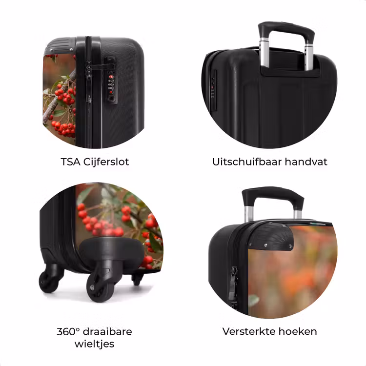 Koffer - Goudvink - Bessen - Herfst - Natuur - Kleurrijk — 7