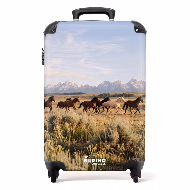 Koffer - Paarden - Kudde - Bergen - Vrijheid - Wild — 1
