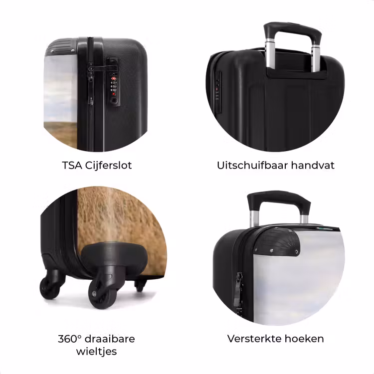 Koffer - Runderen - Kudde - Landschap - Weide - Rustig — 7
