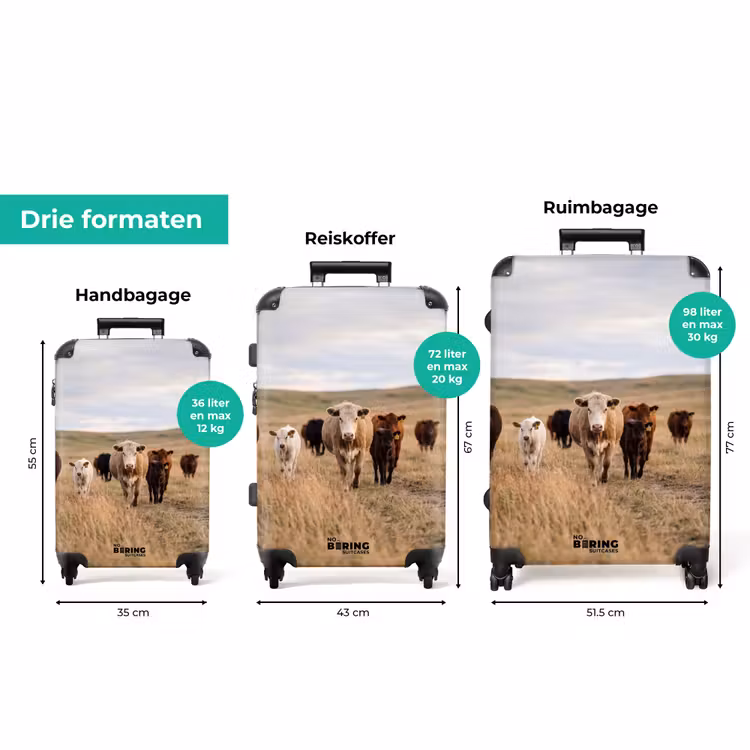 Koffer - Runderen - Kudde - Landschap - Weide - Rustig — 8