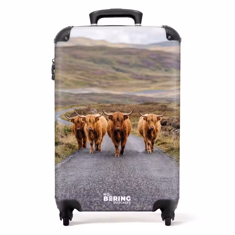 Koffer - Schotse Hooglanders - Weg - Landschap - Kudde — 1