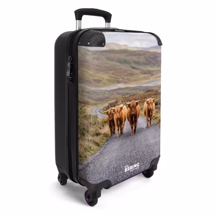 Koffer - Schotse Hooglanders - Weg - Landschap - Kudde — 2
