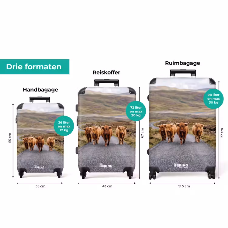 Koffer - Schotse Hooglanders - Weg - Landschap - Kudde — 8