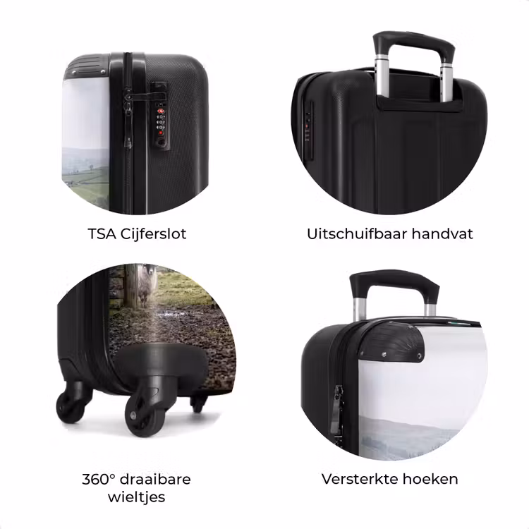 Koffer - Schapen - Rij - Weide - Dieren - Platteland — 7