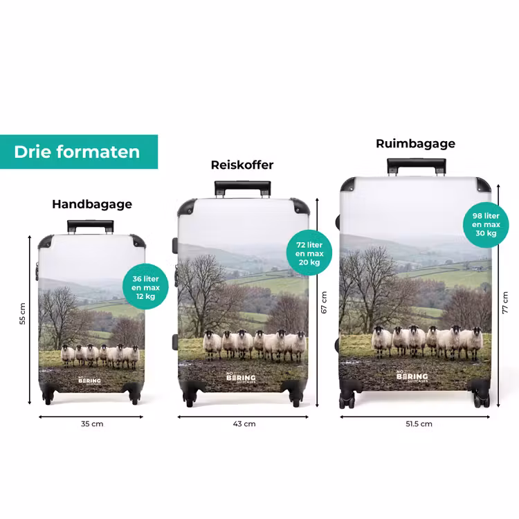 Koffer - Schapen - Rij - Weide - Dieren - Platteland — 8