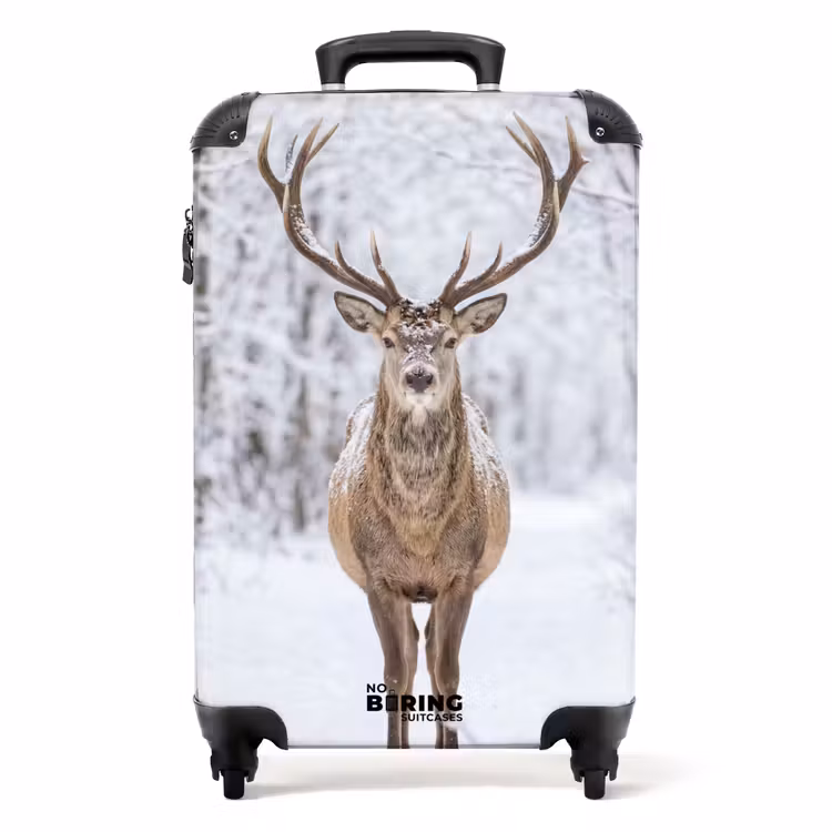 Koffer - Hert - Winter - Bos - Natuur - Wit — 1