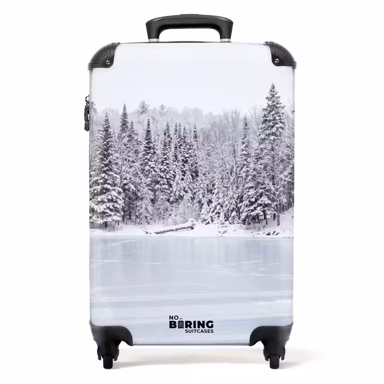 Koffer - Meer - Dennen - IJs - Winter - Rustgevend — 1