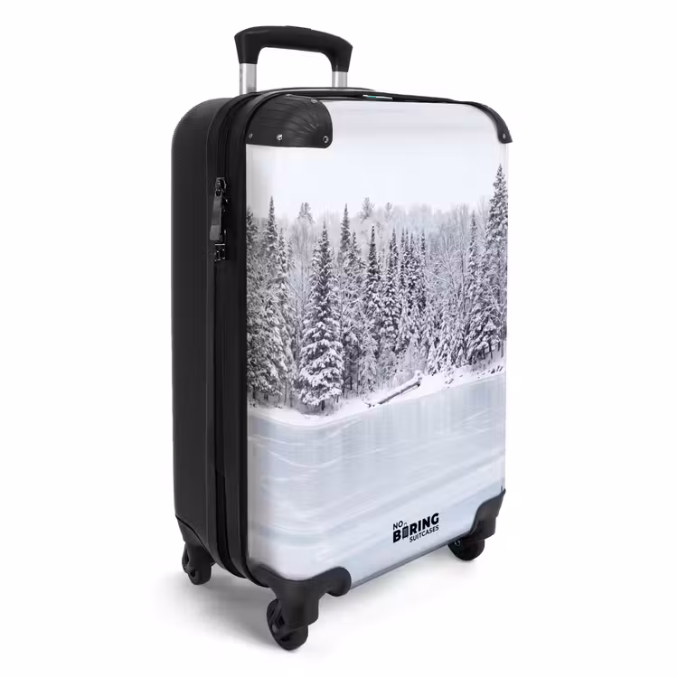 Koffer - Meer - Dennen - IJs - Winter - Rustgevend — 2