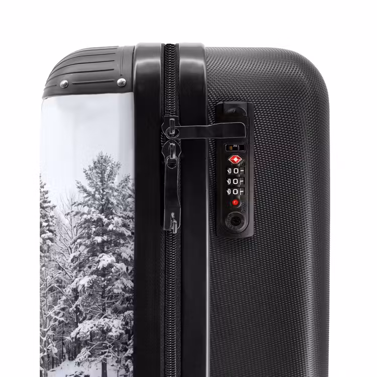 Koffer - Meer - Dennen - IJs - Winter - Rustgevend — 5