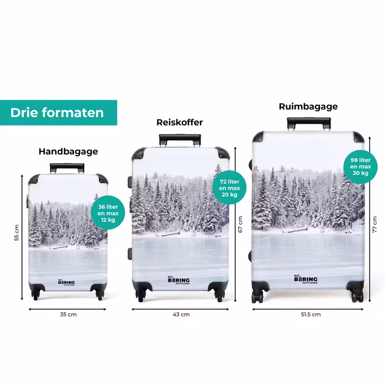 Koffer - Meer - Dennen - IJs - Winter - Rustgevend — 8
