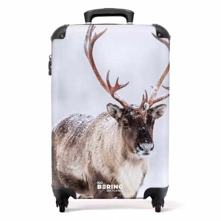 Koffer - Rendier - Gewei - Toendra - Sneeuw - Wild — 1