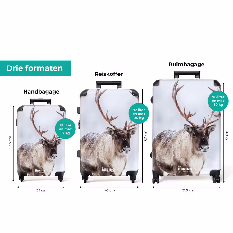 Koffer - Rendier - Gewei - Toendra - Sneeuw - Wild — 8
