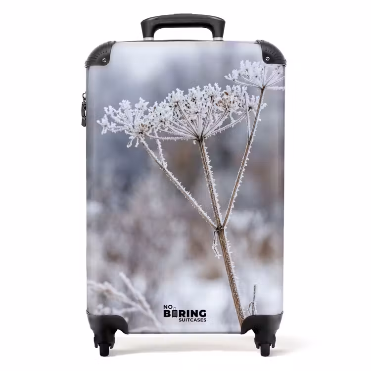 Koffer - Schermbloem - Rijp - Kristallen - Winter - Delicaat — 1