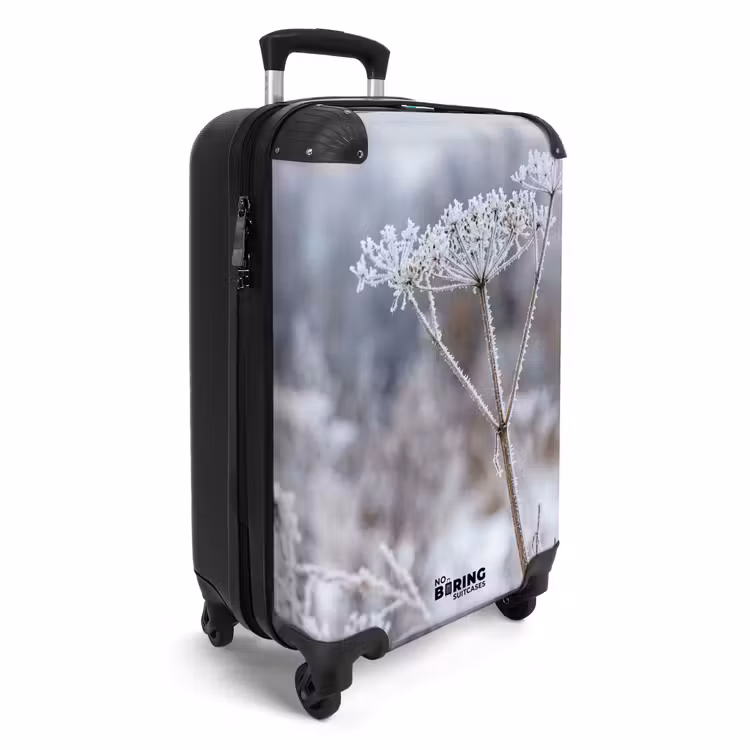 Koffer - Schermbloem - Rijp - Kristallen - Winter - Delicaat — 2