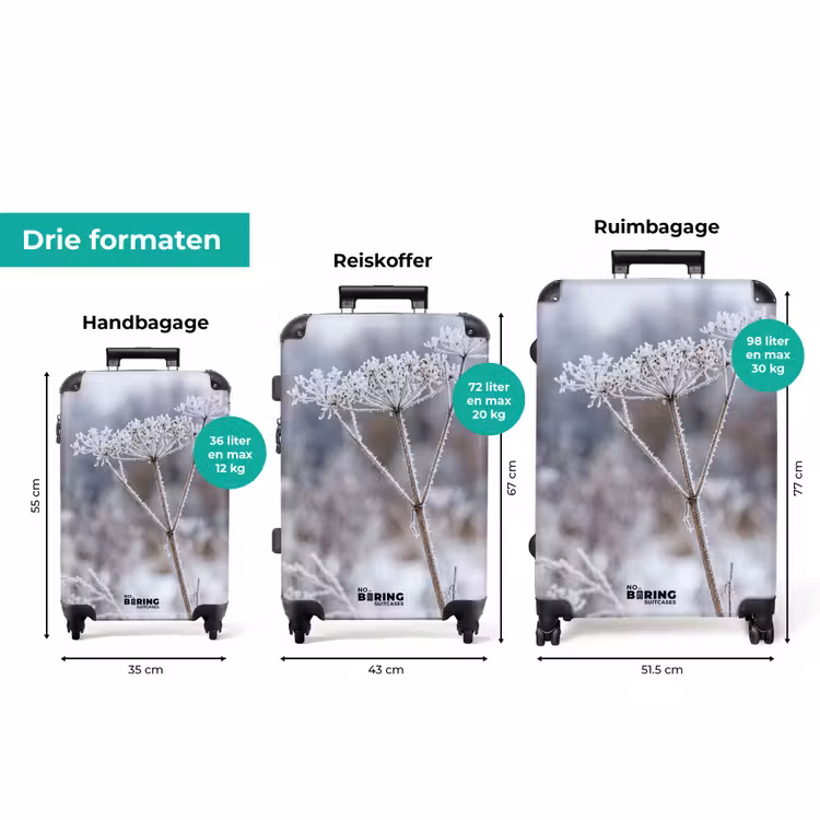 Koffer - Schermbloem - Rijp - Kristallen - Winter - Delicaat — 8
