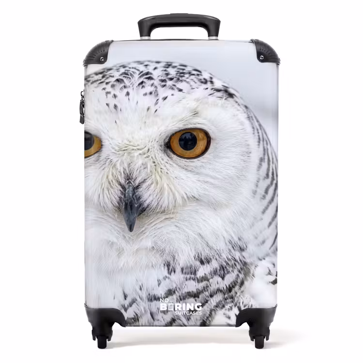 Koffer - Sneeuwuil - Oog - Wildlife - Wit — 1