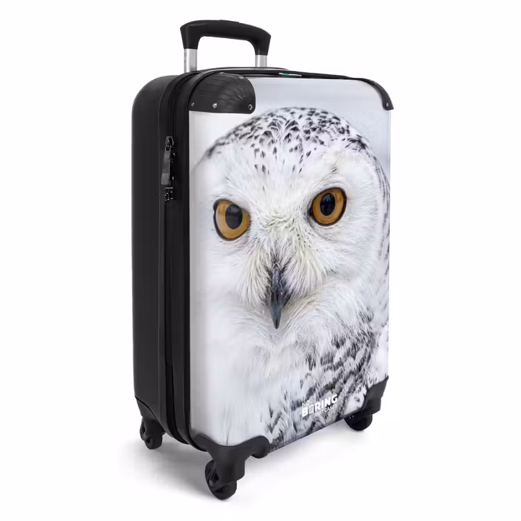 Koffer - Sneeuwuil - Oog - Wildlife - Wit — 2