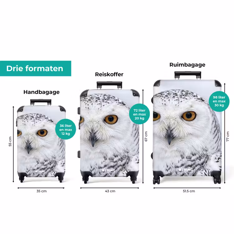 Koffer - Sneeuwuil - Oog - Wildlife - Wit — 8