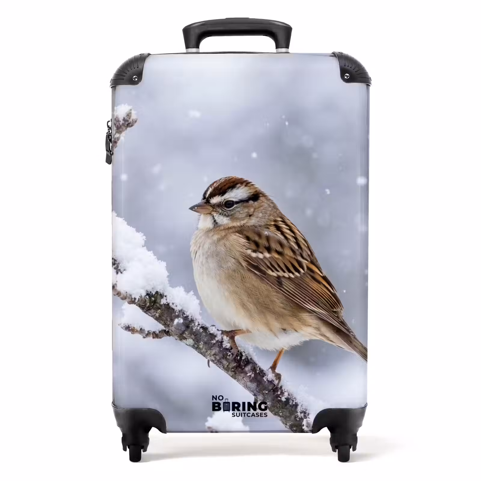 Koffer - Vogel - Tak - Sneeuw - Winter — 1