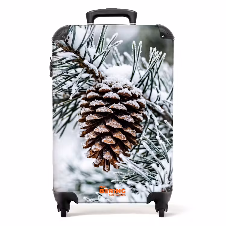 Koffer - Dennenappel - Tak - Sneeuw - Winter - Sfeervol — 1