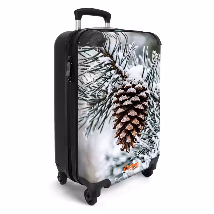 Koffer - Dennenappel - Tak - Sneeuw - Winter - Sfeervol — 2