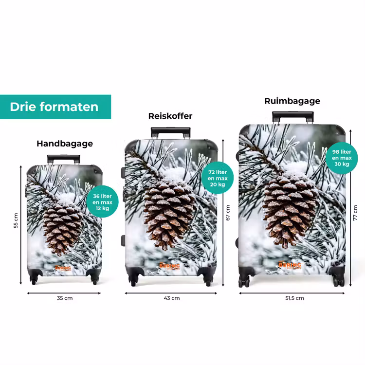 Koffer - Dennenappel - Tak - Sneeuw - Winter - Sfeervol — 8