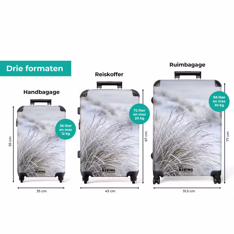 Koffer - Duinen - Sneeuw - Strand - Winter - Serene — 8