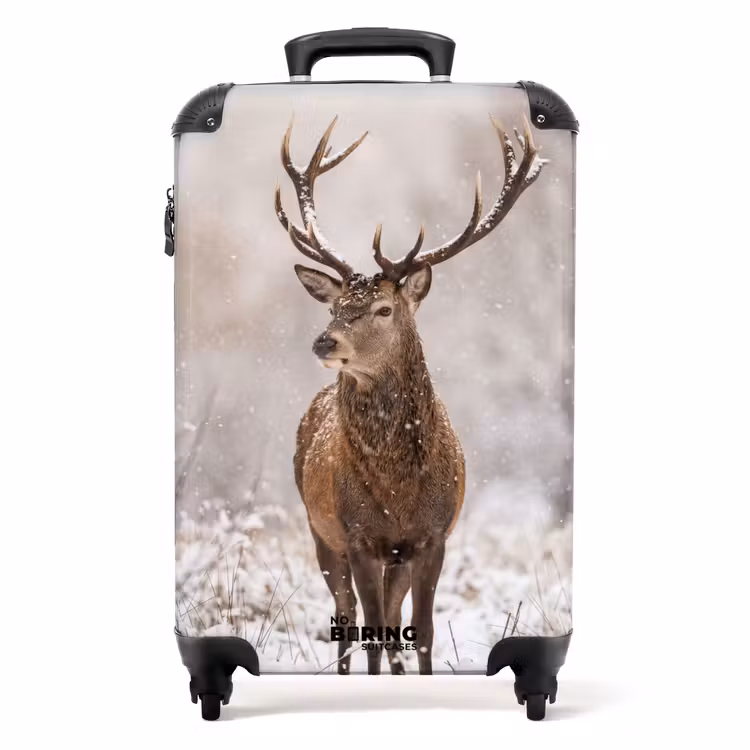 Koffer - Edelhert - Bos - Sneeuw - Winter - Majestueus — 1