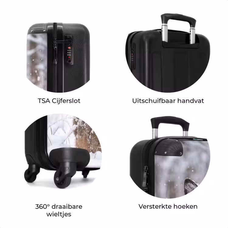 Koffer - Hert - Sneeuw - Bos - Dieren - Vertederend — 7