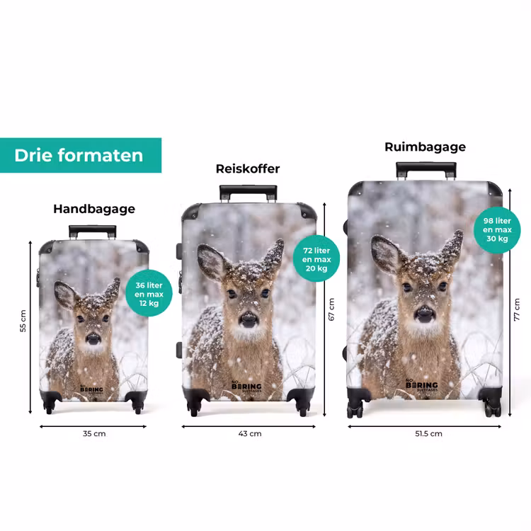 Koffer - Hert - Sneeuw - Bos - Dieren - Vertederend — 8