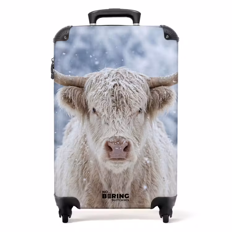 Koffer - Schotse Hooglander - Sneeuw - Bergen - Winter — 1