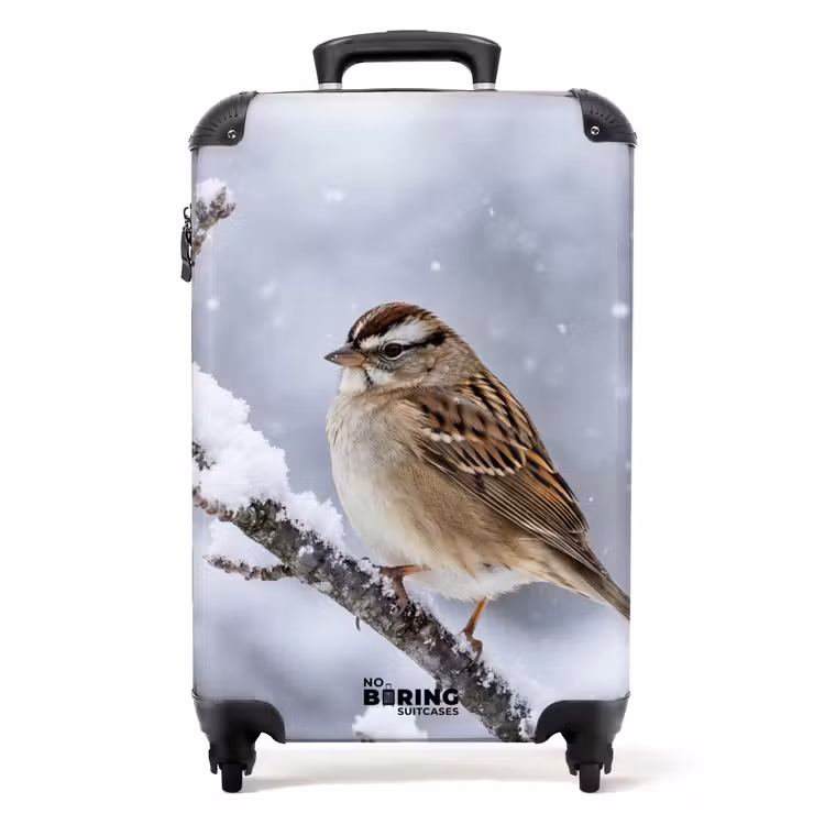 Koffer - Vogel - Tak - Sneeuw - Winter — 1