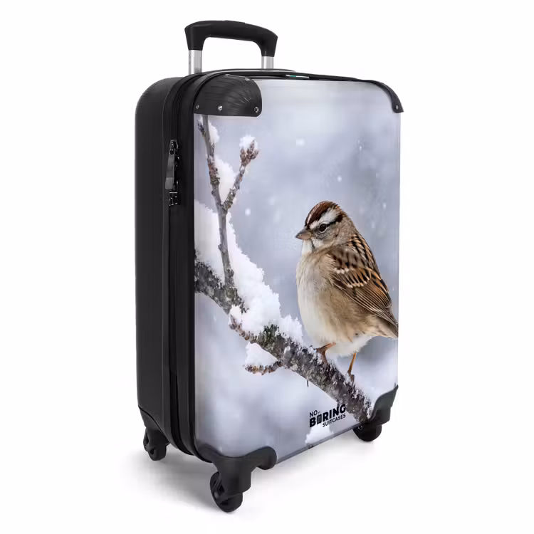 Koffer - Vogel - Tak - Sneeuw - Winter — 2