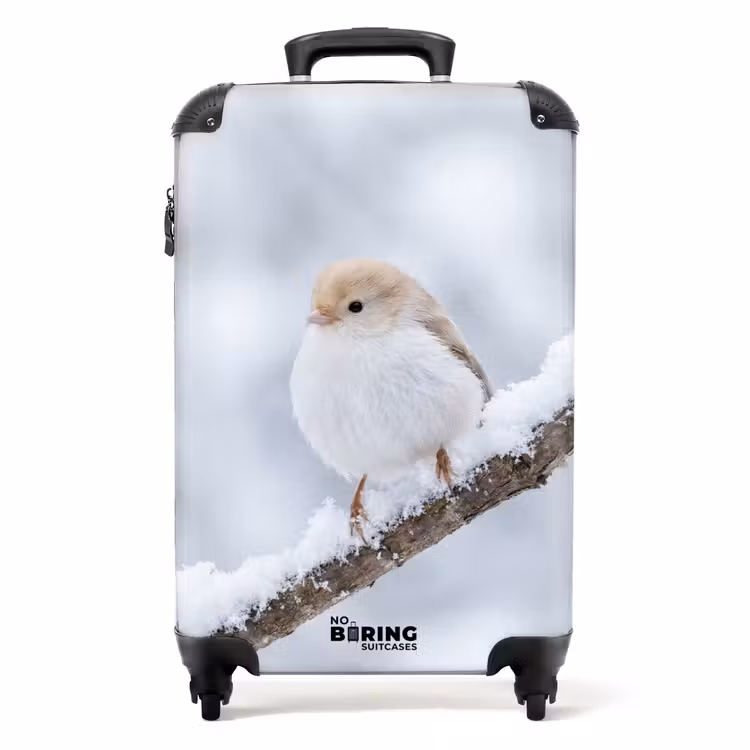 Koffer - Vogeltje - Sneeuw - Tak - Winter - Zacht — 1