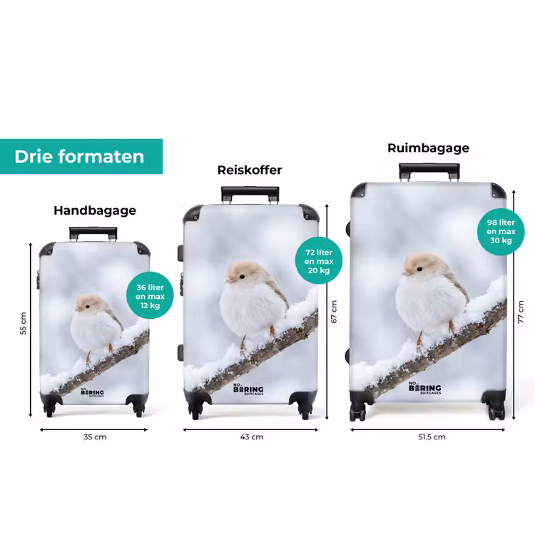 Koffer - Vogeltje - Sneeuw - Tak - Winter - Zacht — 8