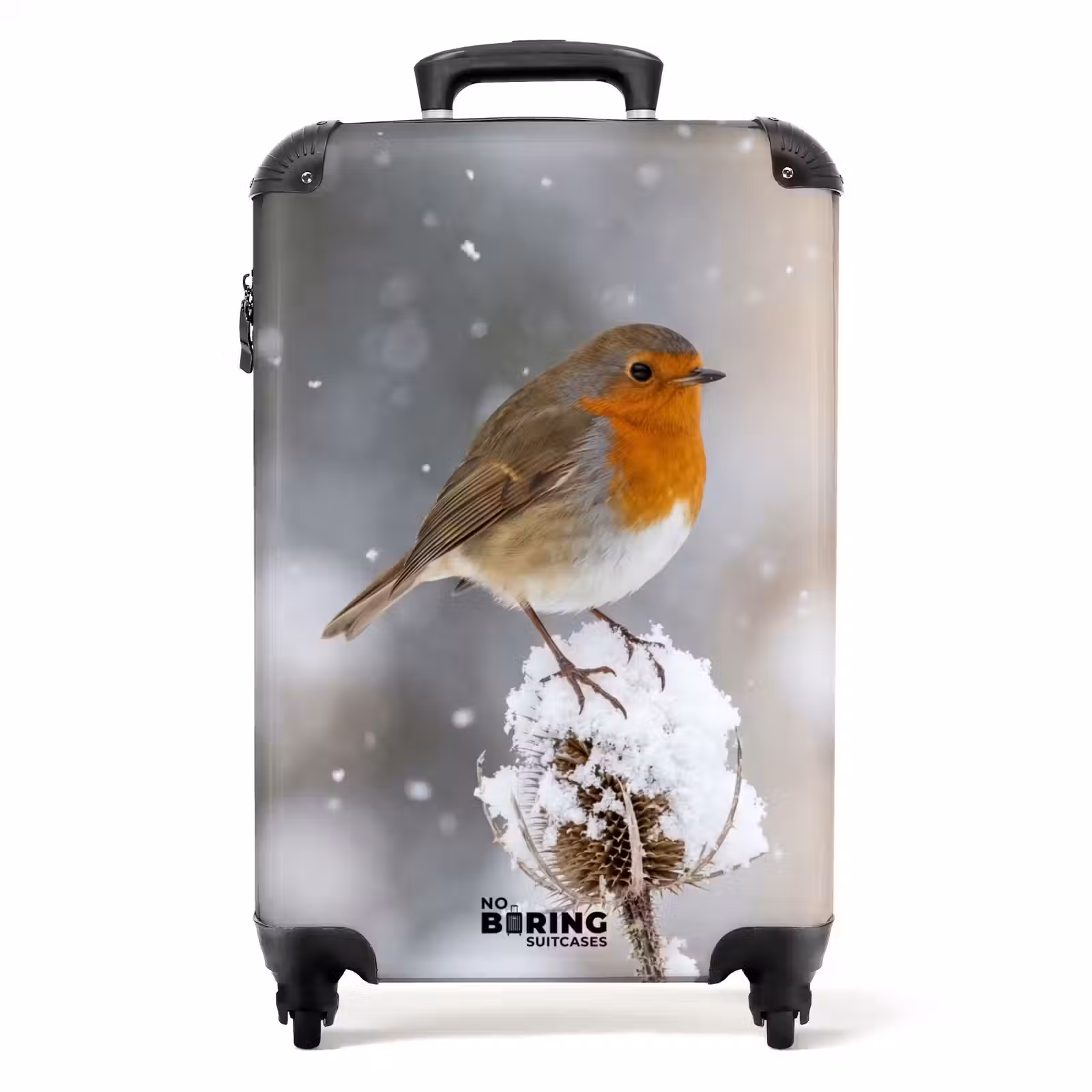 Koffer - Roodborstje - Gedroogde bloem - Sneeuw - Winter - Vertederend — 1