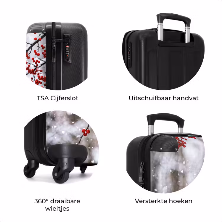 Koffer - Bessen - Takken - Sneeuw - Winter - Kleurrijk — 7